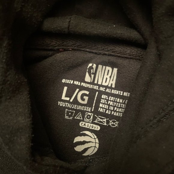 NBA Toronto Raptors Embroidered Hoodie Sweatshirt - Picture 8 of 10